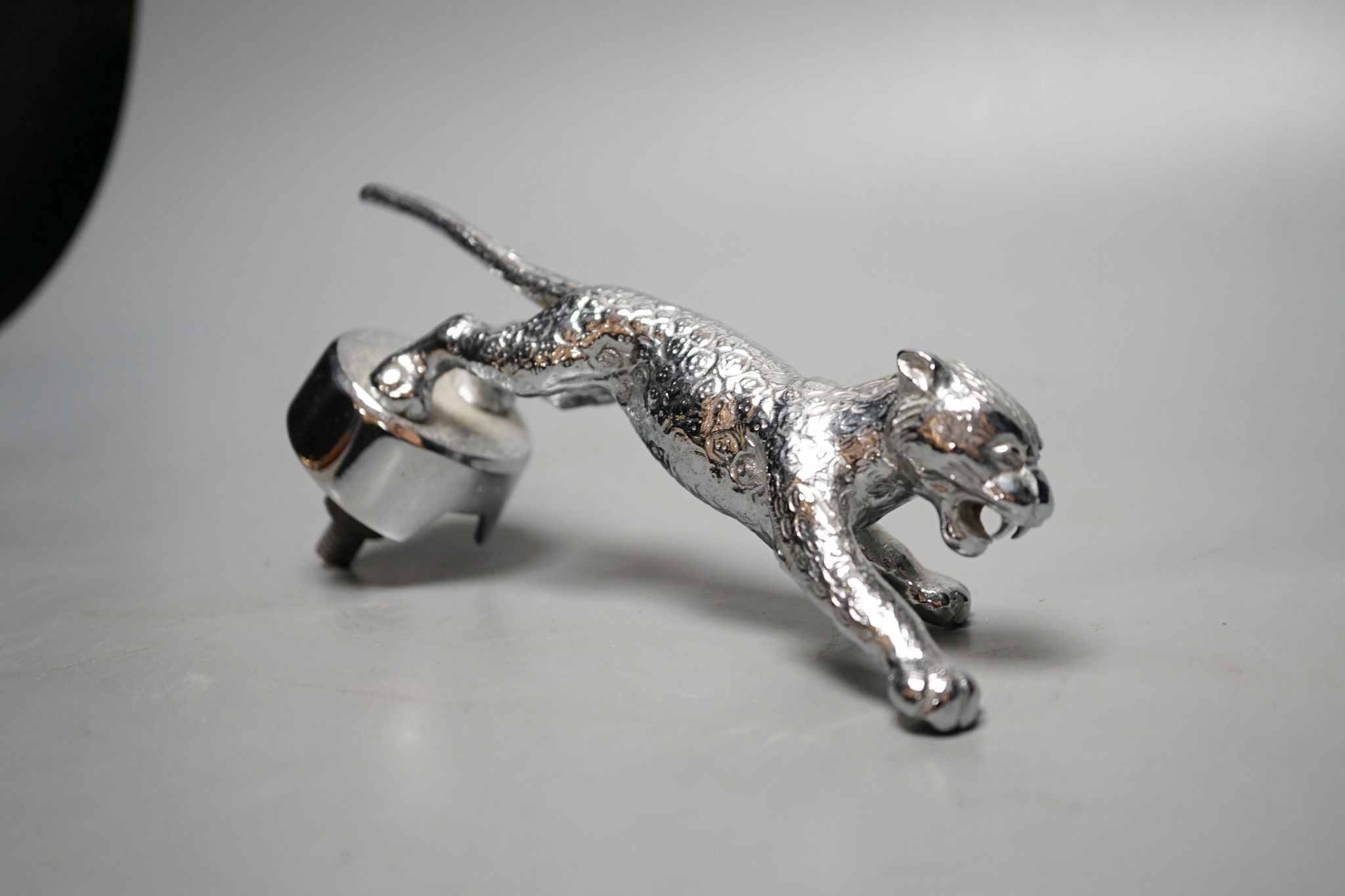 A chrome jaguar car mascot, no.521, in labelled original box, 19 cms long.